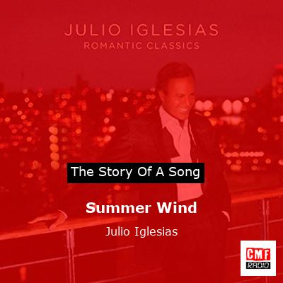 Story of the song Summer Wind - Julio Iglesias