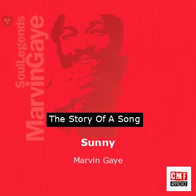 Story of the song Sunny - Marvin Gaye