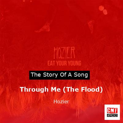 Story of the song Through Me (The Flood) - Hozier