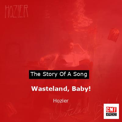Story of the song Wasteland