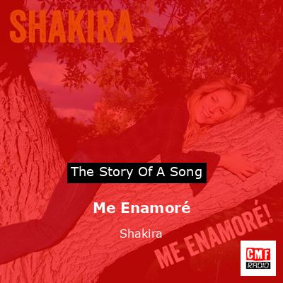 Story of the song Me Enamoré - Shakira