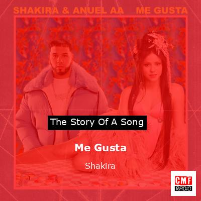Story of the song Me Gusta - Shakira
