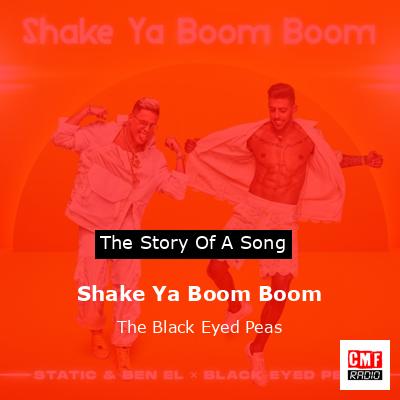Story of the song Shake Ya Boom Boom - The Black Eyed Peas