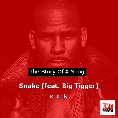 Story of the song Snake (feat. Big Tigger) - R. Kelly