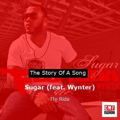 Story of the song Sugar (feat. Wynter) - Flo Rida