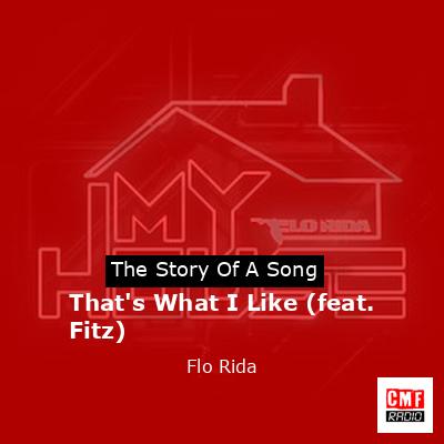 Story of the song That's What I Like (feat. Fitz) - Flo Rida