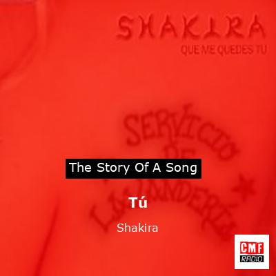 Story of the song Tú - Shakira