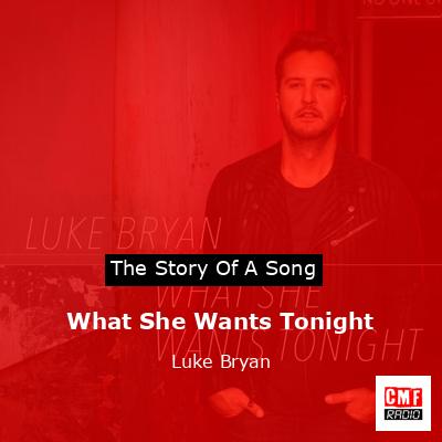 Story of the song What She Wants Tonight - Luke Bryan