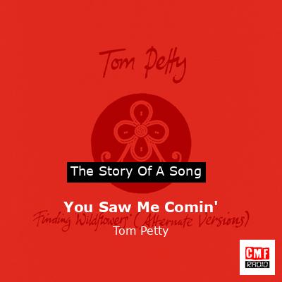 Story of the song You Saw Me Comin' - Tom Petty