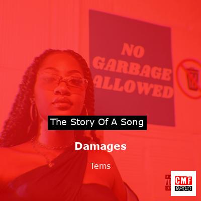 final cover Damages Tems