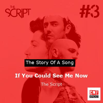 final cover If You Could See Me Now The Script