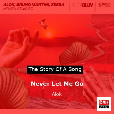 Never Let Me Go – Alok