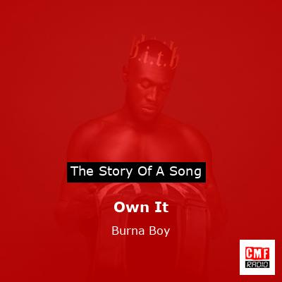 Own It – Burna Boy