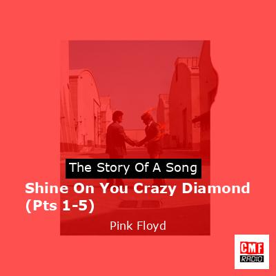 Shine On You Crazy Diamond (Pts 1-5) – Pink Floyd