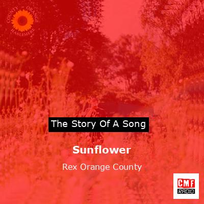 final cover Sunflower Rex Orange County