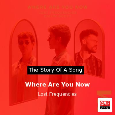 Where Are You Now by Lost Frequencies & Calum Scott - Song Meanings and  Facts