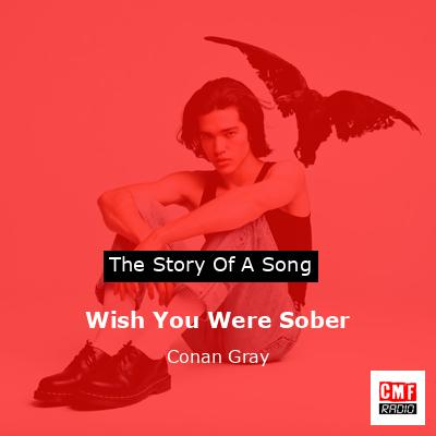 Wish You Were Sober – Conan Gray