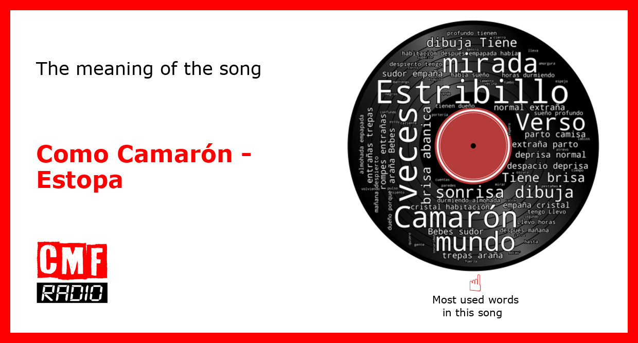 The story and meaning of the song 'Como Camarón - Estopa 