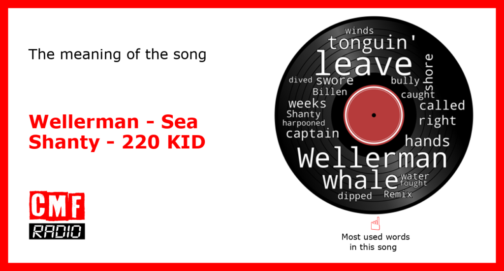 The story and meaning of the song 'Wellerman Sea Shanty 220 KID