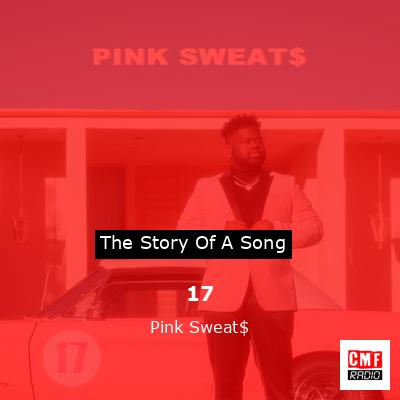 final cover 17 Pink Sweat