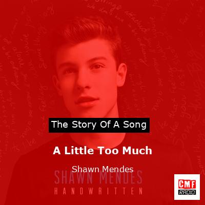 A Little Too Much – Shawn Mendes