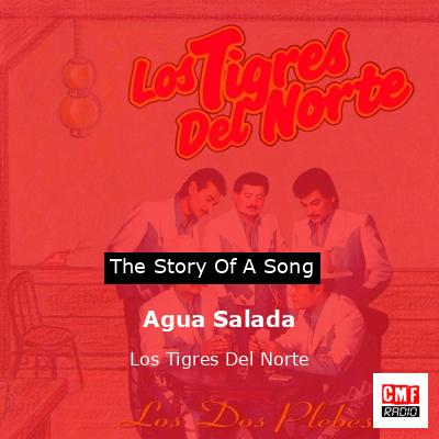 final cover Agua Salada Los Tigres Del Norte