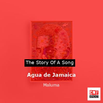 Agua de Jamaica – Maluma