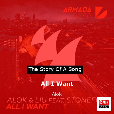 final cover All I Want Alok