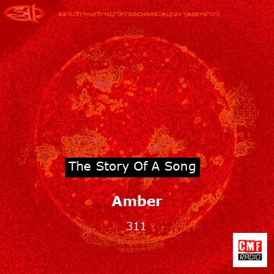 final cover Amber 311