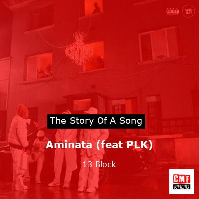 Aminata (feat PLK) – 13 Block