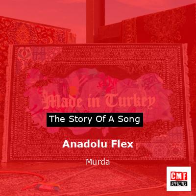 Anadolu Flex – Murda