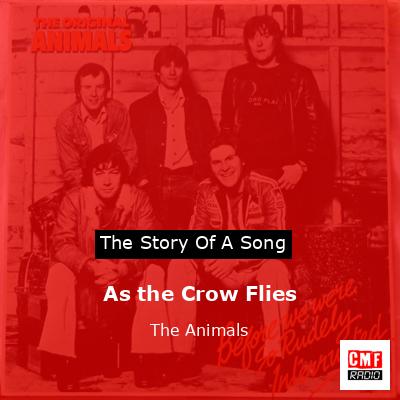 As the Crow Flies – The Animals