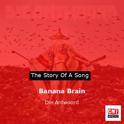 Banana Brain – Die Antwoord