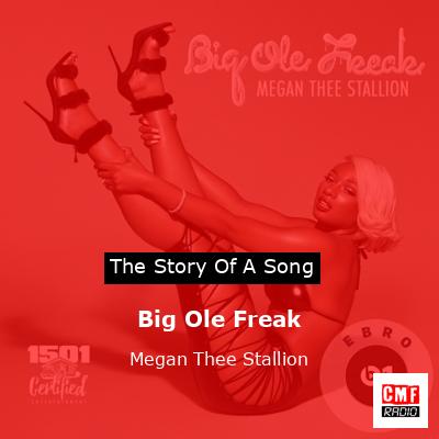 final cover Big Ole Freak Megan Thee Stallion