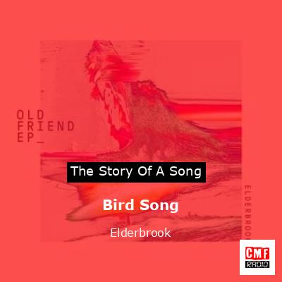 final cover Bird Song Elderbrook