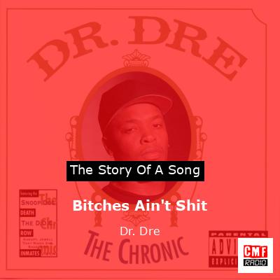 Bitches Ain’t Shit – Dr. Dre