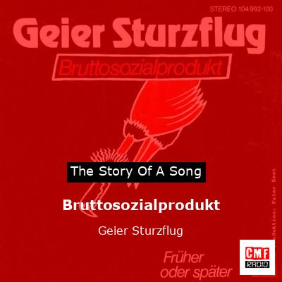 final cover Bruttosozialprodukt Geier Sturzflug