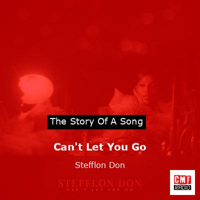 final cover Cant Let You Go Stefflon Don