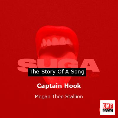 final cover Captain Hook Megan Thee Stallion