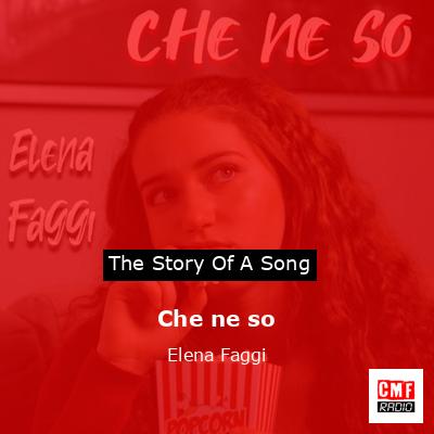 Che ne so – Elena Faggi