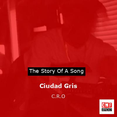 final cover Ciudad Gris C.R.O