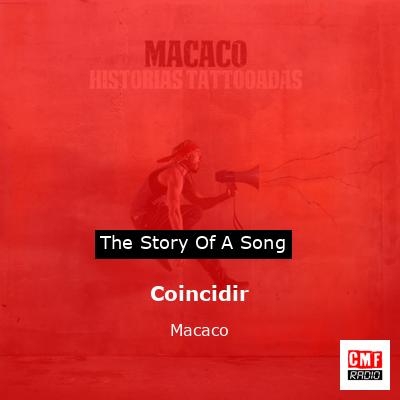 final cover Coincidir Macaco
