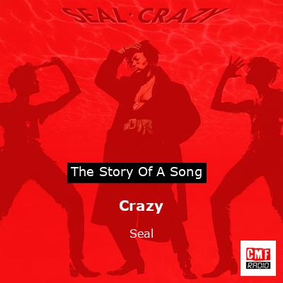final cover Crazy Seal