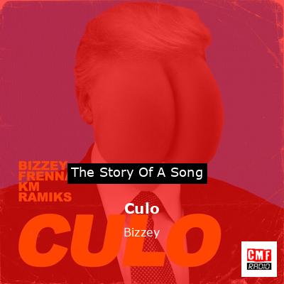 final cover Culo Bizzey