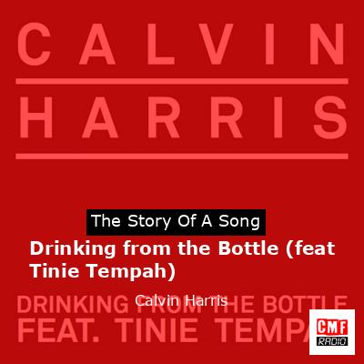 Drinking from the Bottle (feat Tinie Tempah) – Calvin Harris