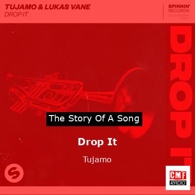 TUJAMO & Lukas Vane - Drop It 