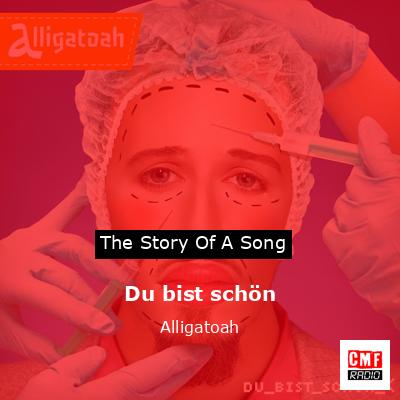 Du bist schön – Alligatoah