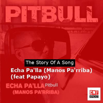 Echa Pa’lla (Manos Pa’rriba) (feat Papayo) – Pitbull