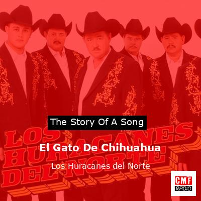 El Gato De Chihuahua – Los Huracanes del Norte