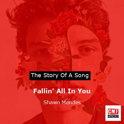 Fallin’ All In You – Shawn Mendes